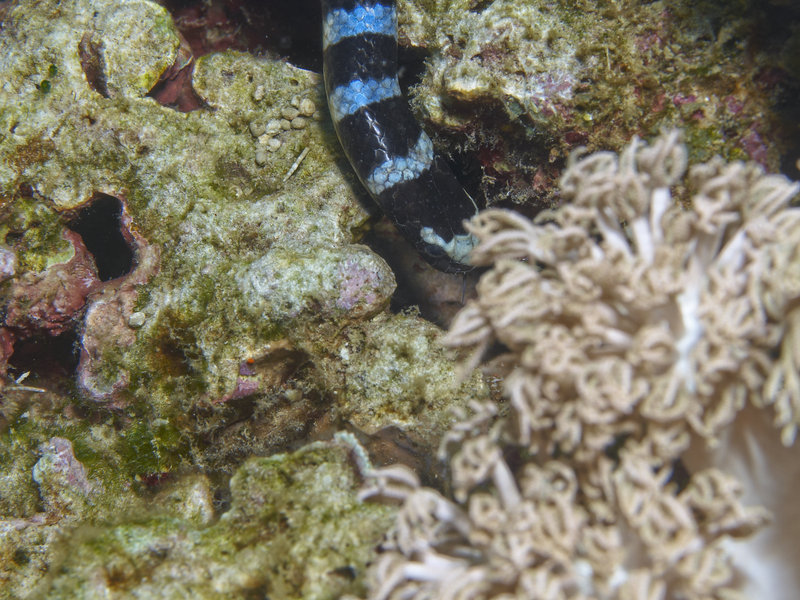 Wreck Point